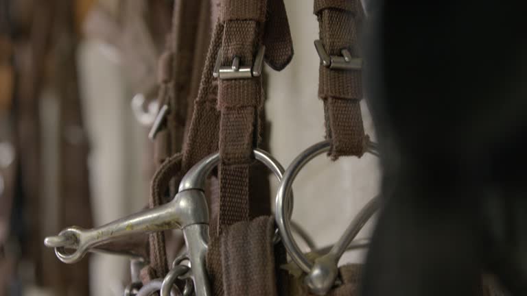 Horse Training Snaffle Bit Hanging at a Racehorse Training Facility