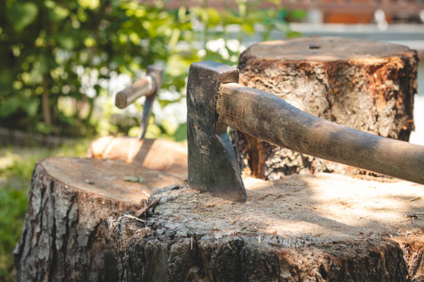 strumento per spaccare il legno bloccato in un ceppo d'albero. un'antica ascia fatta in casa con un bordo affilato. spaccalegna in una sera d'estate - wood axe foto e immagini stock