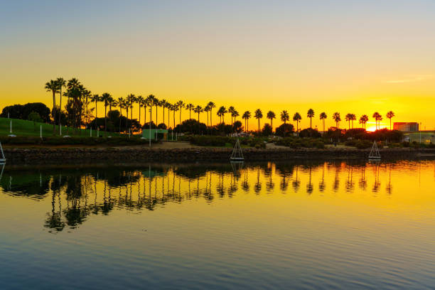 istock Golden Twilight on Long Beach Waterfront 1505052120
