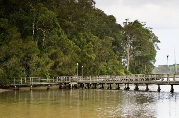istock Avocado and Clay Creek Yellow, Costa Del Sol and Olive Green, Mill Bay Boadwalk over Narooma Wagonga inlet, Eurobodalla, South Coast, New South Wales 1505058095