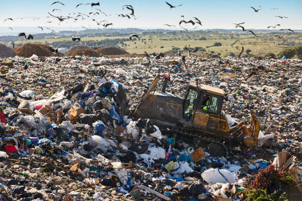 istock Heavy machinery shredding garbage in an open air landfill. Pollution 1505089193