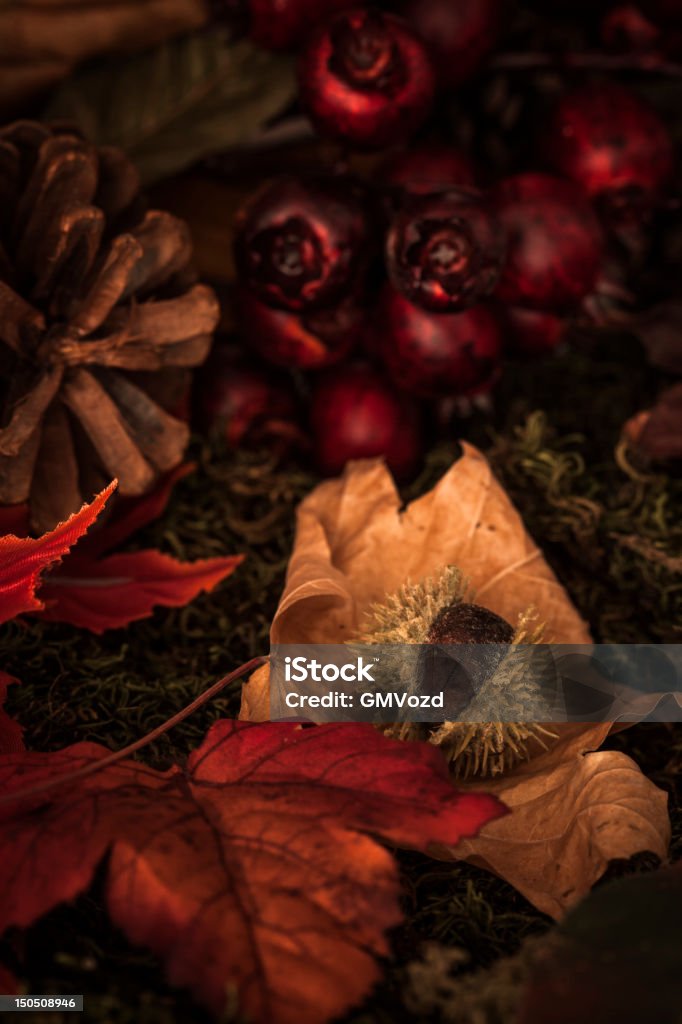 Frutta autunnale - Foto stock royalty-free di Ambientazione esterna