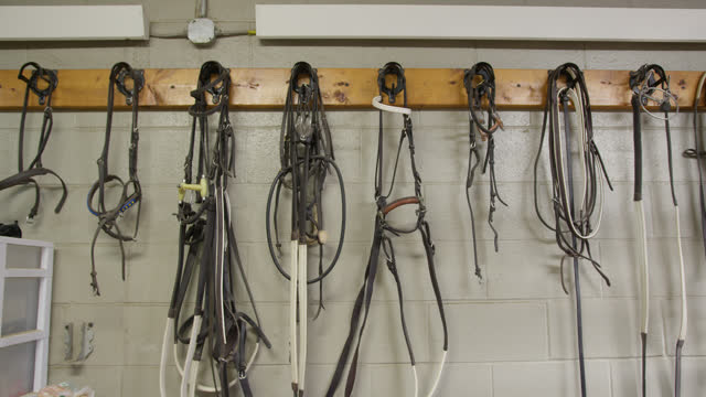 Leather Training Headstalls at a Racehorse Training Facility