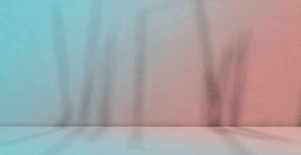 istock Background Summer Shadow Leaf  Spring Flower on Table Product Beauty Cosmetic,Overlay Abstract Gradient Pink Blue on blur Cement Marble Loft Minimal 3d,Wall Floor,Mockup Podium Kitchen Studio 1505114486