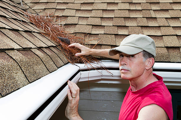 istock Homeowner removes pine needles from a roof valley. 150511996