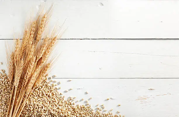 wheat ears with wheat kernels against white wood background