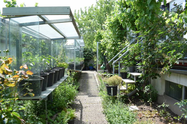 istock food garden 1505157143