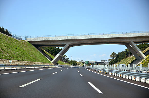 560+ Tomei Expressway Stock Photos, Pictures & Royalty-Free Images