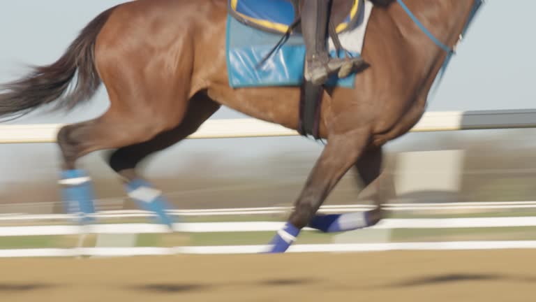 Jockey Riding a Muscular Thoroughbred Race Horse, Breezing on a Dirt Track