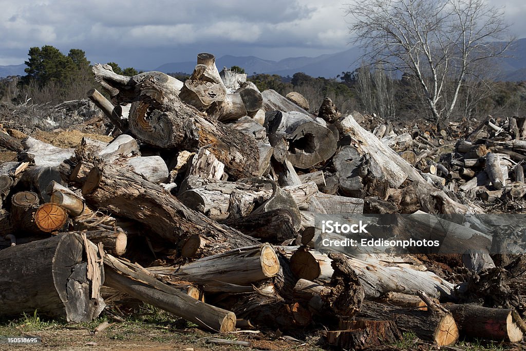 Logs Logging Australia Stock Photo