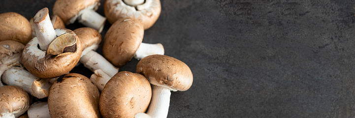 Close up of raw Portobello mushrooms on concrete baclground. Banner with copy space