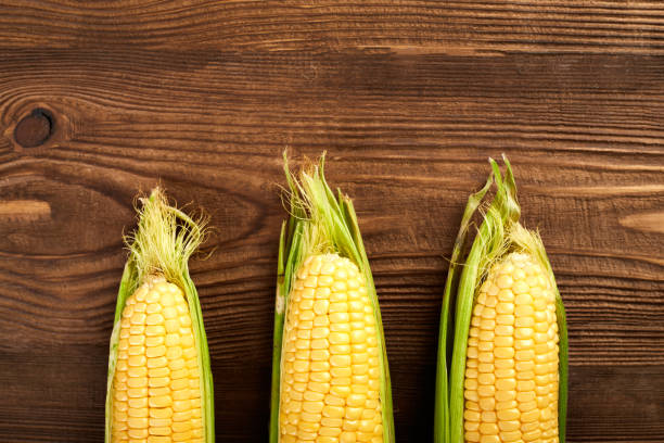istock Fresh yellow corn cobs isolated on white background. Fresh vegetables. 1505191104