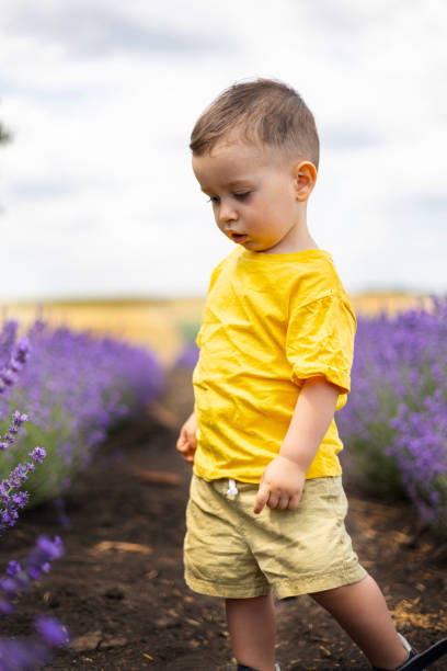 istock baby boy  in lavender field 1505197696