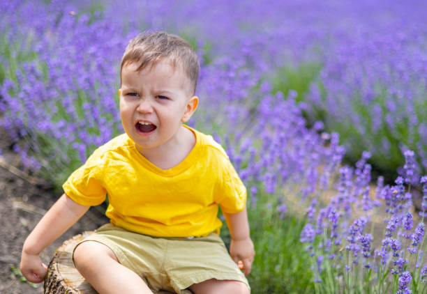istock baby boy  in lavender field 1505197697