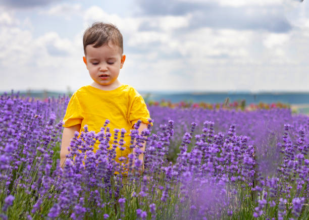 istock baby boy  in lavender field 1505197711