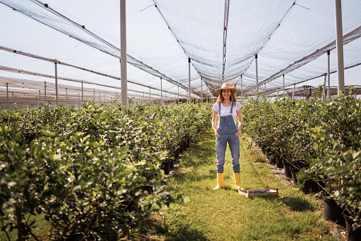 Portrait of young casually clothed woman on a blueberry farm