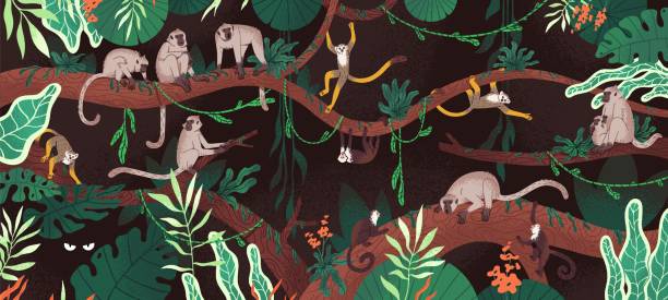 Monkeys in green jungle. Exotic ape animals among branches tree leaves, lianas in tropical forest. Primates, macaque and lemur, in wild nature dense rainforest landscape. Flat vector illustration Monkeys in green jungle. Exotic ape animals among branches tree leaves, lianas in tropical forest. Primates, macaque and lemur, in wild nature dense rainforest landscape. Flat vector illustration. liana stock illustrations