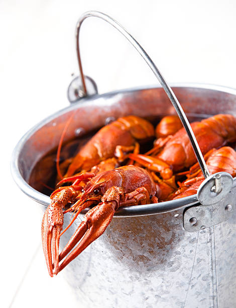 Boiled lobsters in bucket