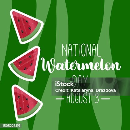 istock National Watermelon day card or background. vector illustration. Funny American holiday celebrate on August 3. Vector illustration for poster, sticker, banner, card 1505223119