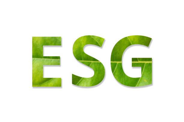 istock ESG text symbol from green leaves on white background, creative eco environment investment fund, future green energy innovation business trend. 1505226488