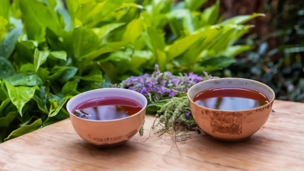 たくさんの植物がある窓の横の漢方茶 - tea chinese tea heat teapot ストックフォトと画像