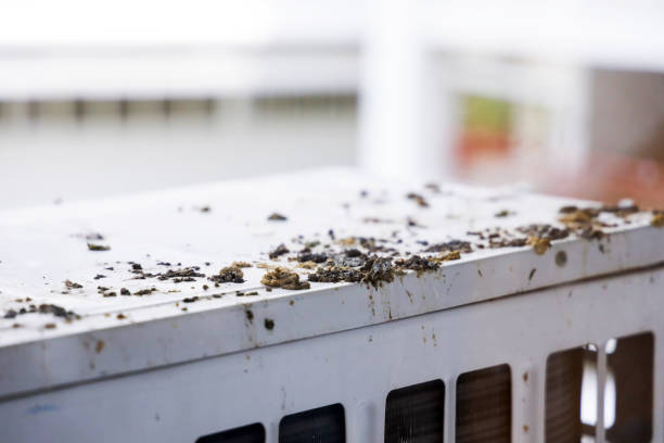istock Pigeon feces on air compressor 1505237625