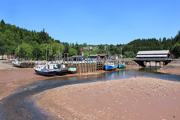 St. Martins, New Brunswick wharf Fishing wharf in St. Martins, New Brunswick, Canada on low tide with moored boats in mud with a covered bridge in the background st. martins stock pictures, royalty-free photos & images