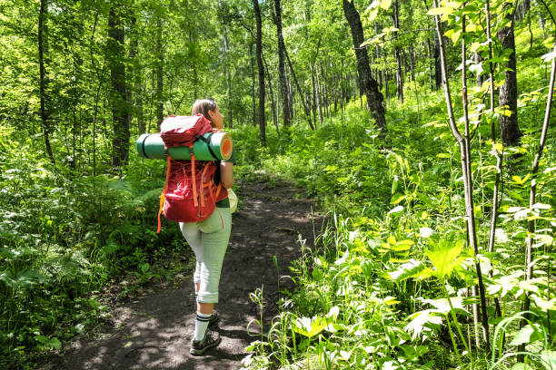 istock Young female tourist with backpack walking in forest 1505262775