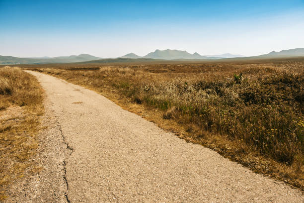 istock Vast peat bog at Moine, Scotland 1505318361