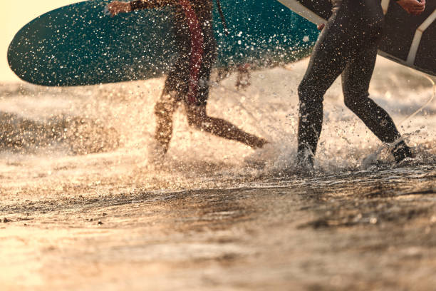 istock Unrecognizable surfers rushing to surf at sunset. 1505334067