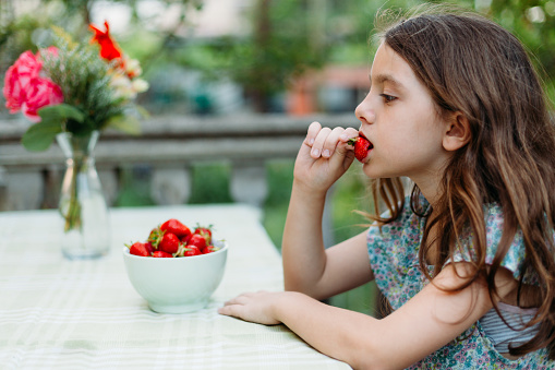 Side view of little girl sitting at the table and eating fresh picked strawberries from the home garden