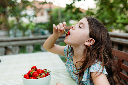 Side view of little girl sitting at the table and eating fresh picked strawberries from the home garden