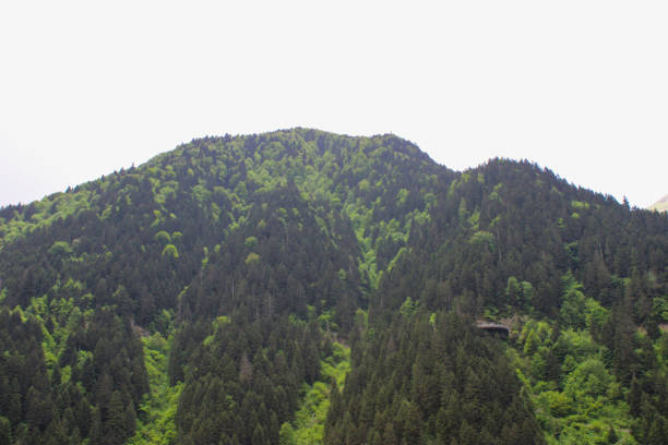 Black Sea green mountain.