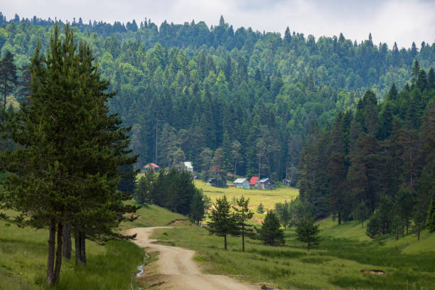 Purenli and Balikli plateau near Bolu