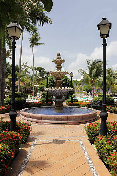 istock Beautiful Ornamental Tropical Gardens 150539130