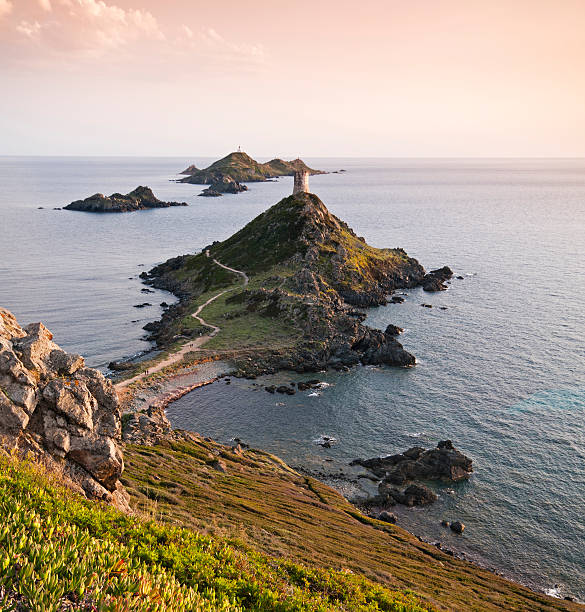 istock Sanguinaires Island 150539432