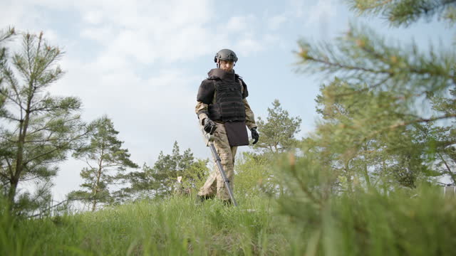 Man trying to detect mine in demining process in the grass near the pine trees