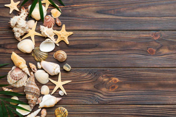 istock Summer time concept Flat lay composition with beautiful starfish and sea shells on colored table, top view with copy space for text 1505407148