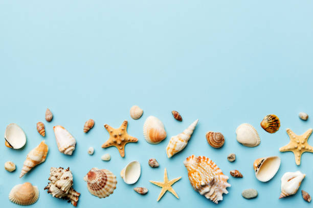 istock Summer time concept Flat lay composition with beautiful starfish and sea shells on colored table, top view with copy space for text 1505407156