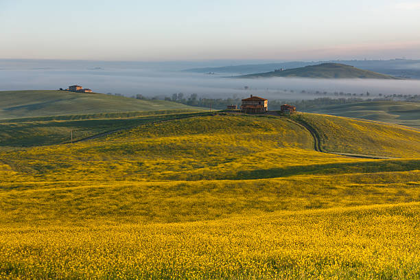 toscane au lever du soleil - siena province tuscany italy fog photos et images de collection