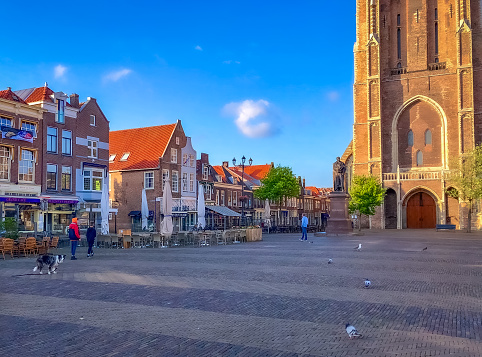 July, 2018 - Delft, the Netherlands: Dog herding birds at the market square in Delft