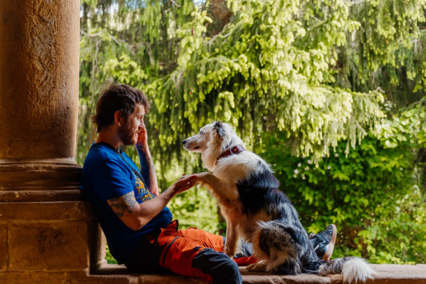 istock person playing and training with his dog 1505475966