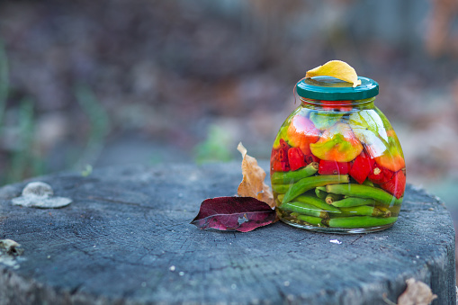 A jar of canned red and green chili peppers in apple cider vinegar on an oak stump in a garden with fallen yellow and red leaves