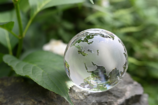 glass globe and green leaves\nimage of some global agendas