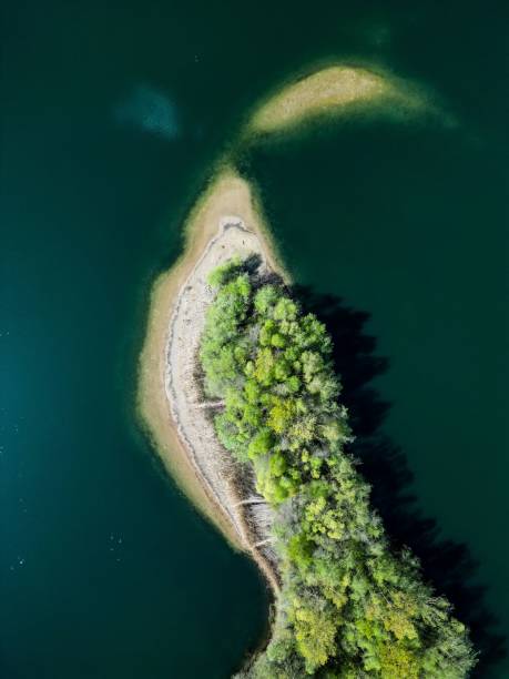 istock Aerial view of forest with dense trees 1505525388