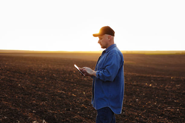 istock Smart farming technology and agriculture. Farmer uses digital tablet on field with plowed soil at sunset. Checking and control of soil quality, land readiness for sowing crops and planting vegetables 1505532121