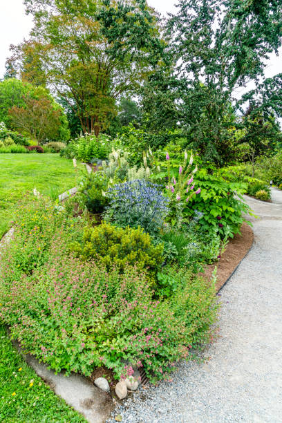 istock Garden Path Plants And Flowers 1505577333