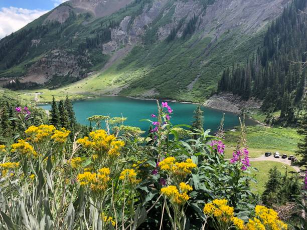 istock Emerald lake Crested Butte with wildflowers 1505578570