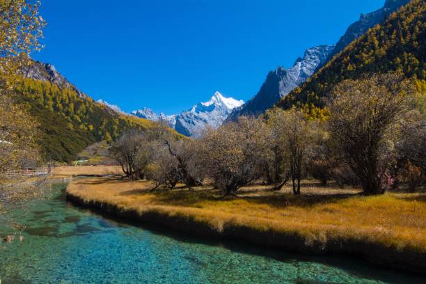 istock Mountain lake surrounded by lush greenery and a winding stream flowing through a grassy valley 1505590274