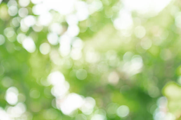 istock natural green bokeh abstract background,blurred textured 1505590907
